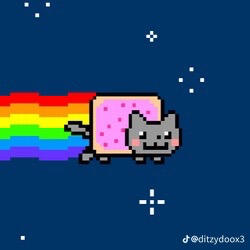 Click here 4 my do’s and dont’s!